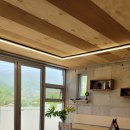 달의바다 이미지