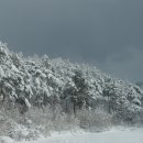 보담농장 이미지