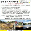 경북 영덕 연수원/수련원 초특급바다조망부지 _ 평당30만 이미지