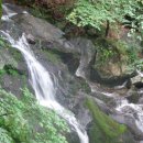 곰배령 PC 이미지