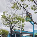 장유주유소