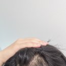 바람부는날에도 성형외과의원 이미지