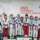 한가림 다올 태권도장 이미지