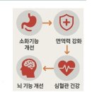인지활동전문강사양성 | 복지관 어르신 두뇌건강 인지활동놀이!! 인지활동전문(어르신,장애인)강사와 함께해요