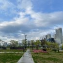 미사호수공원 이미지