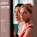 더메이헴 이미지