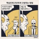 [일상] 봄 맞이 일상