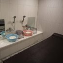 숲속세신 이미지