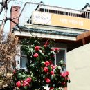 대청어린이집 이미지