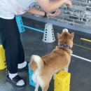 리츠펫 서산호수공원점 이미지