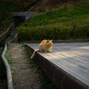 수헤어케미