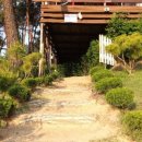 비내섬의 아침 이미지