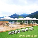 카페9나인 | 남양주 북한강 대형카페 리버나인 반려견동반가능 반려견 유모차대여 9시 오픈 카페 내돈내산 솔직후기
