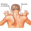 프로 팰리스 짐 이미지