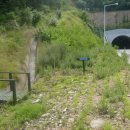 고산터널 등산로 이미지