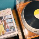 카페모드 | 행궁동 나들이 코스 추천｜운멜로 맛집·모드빈티지사진관·지브이 카페 감성후기