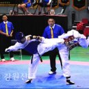 태백태권도 이미지