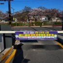 베스트세심태권도 이미지