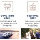 신정현대자동차