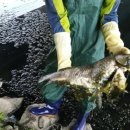 파주환경 이미지