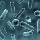 미즈여성병원부설산후조리원 이미지