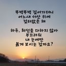 영농농장 이미지