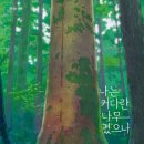 커다란
