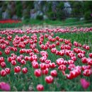 머내생태공원 이미지