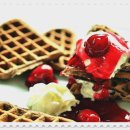 강아지에 빠지다 이미지