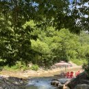 선셋파머스 이미지