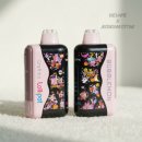 윈터블루(Winter blue) | 버블몬 그래피티2 스타트킷 위베이프 전자담배 영등포점에서 알려드려요.