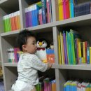 사파동373 이미지