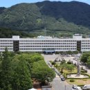 든든카 아침신문
