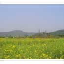 천북초 물천분교 이미지