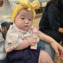 [6개월/ 육아] 6갤 아기 북수원 홈플러스에서 베이비캠프 여름학기 수강 후기