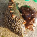 천진초등학교 이미지