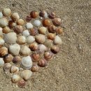 꼬막만세 이미지