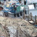 동해어업관리단 이미지