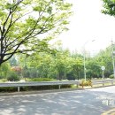 두남자공인중개사사무소 이미지