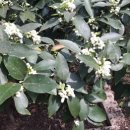 의료법인 힐의료재단 이미지