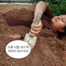 요모조모