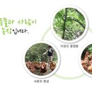 청솔원 이미지