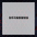 청주지웰동물병원 네이버블로그