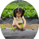 청운농장 이미지