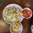 코코넛제주 티스토리