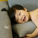 샤르망 이미지