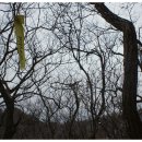 구봉팔문 이미지