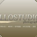 일로로이 이미지