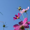 전북대학교 익산캠퍼스 이미지