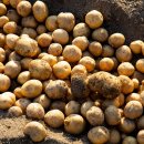 아이엠팜 이미지